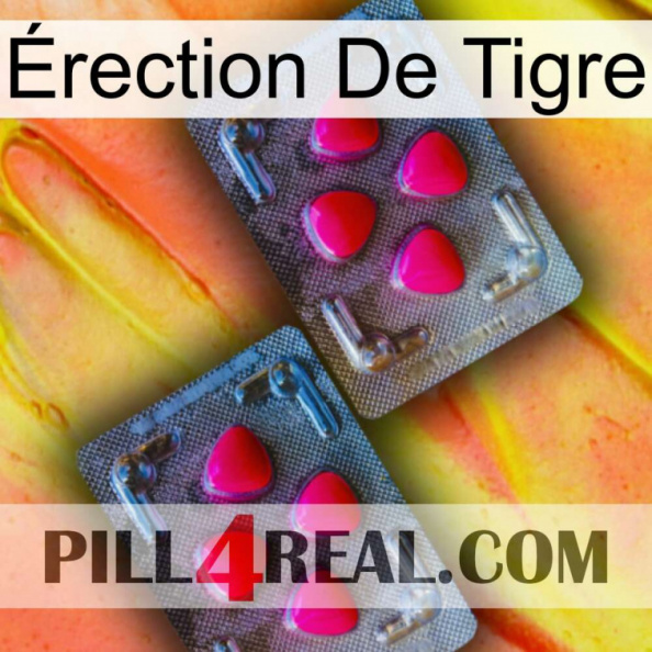 Érection De Tigre 14